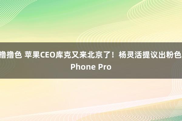   撸撸色 苹果CEO库克又来北京了！杨灵活提议出粉色iPhone Pro