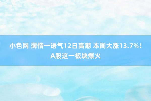   小色网 薄情一语气12日高潮 本周大涨13.7%！A股这一板块爆火