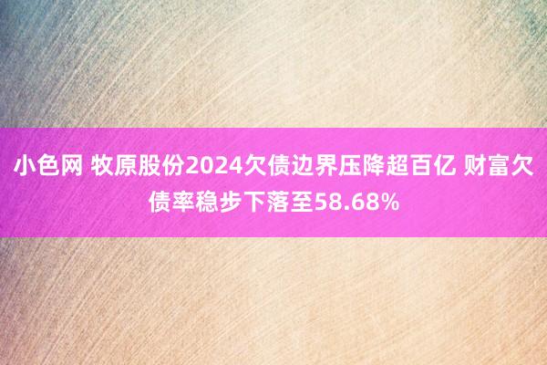   小色网 牧原股份2024欠债边界压降超百亿 财富欠债率稳步下落至58.68%