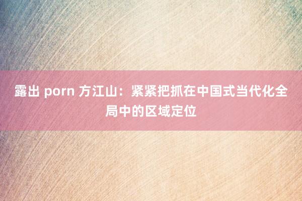   露出 porn 方江山：紧紧把抓在中国式当代化全局中的区域定位