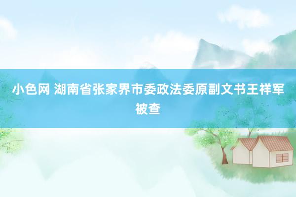   小色网 湖南省张家界市委政法委原副文书王祥军被查