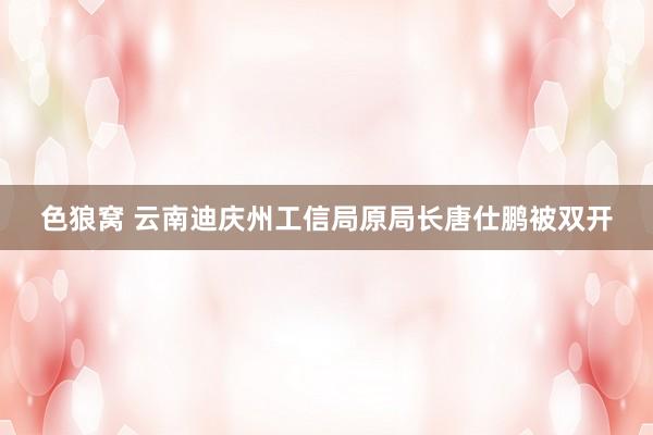   色狼窝 云南迪庆州工信局原局长唐仕鹏被双开