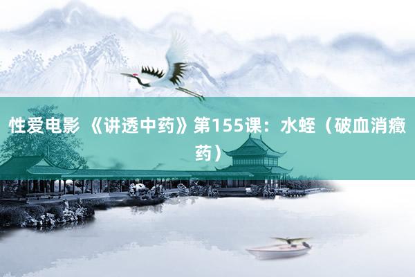   性爱电影 《讲透中药》第155课：水蛭（破血消癥药）