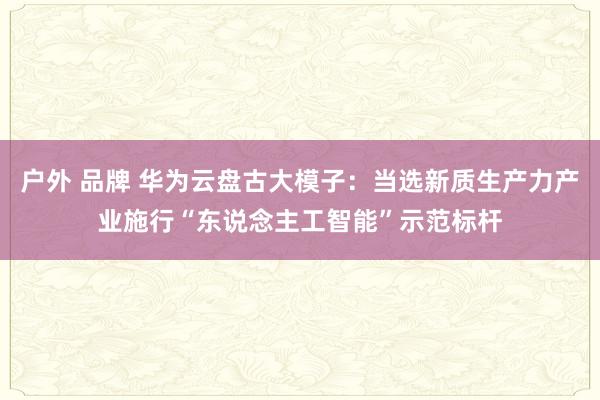   户外 品牌 华为云盘古大模子：当选新质生产力产业施行“东说念主工智能”示范标杆