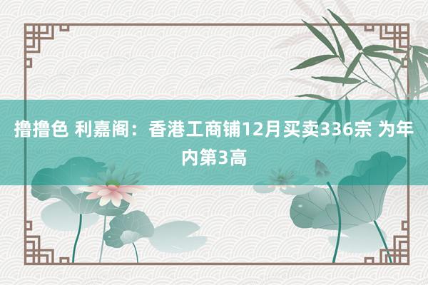   撸撸色 利嘉阁：香港工商铺12月买卖336宗 为年内第3高