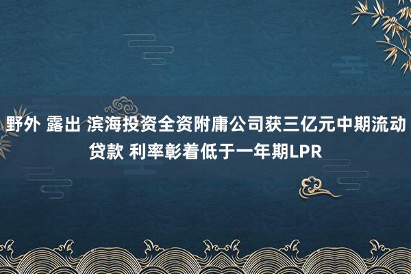  野外 露出 滨海投资全资附庸公司获三亿元中期流动贷款 利率彰着低于一年期LPR