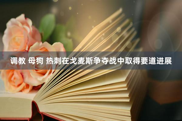   调教 母狗 热刺在戈麦斯争夺战中取得要道进展