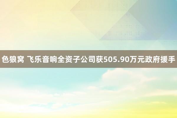   色狼窝 飞乐音响全资子公司获505.90万元政府援手
