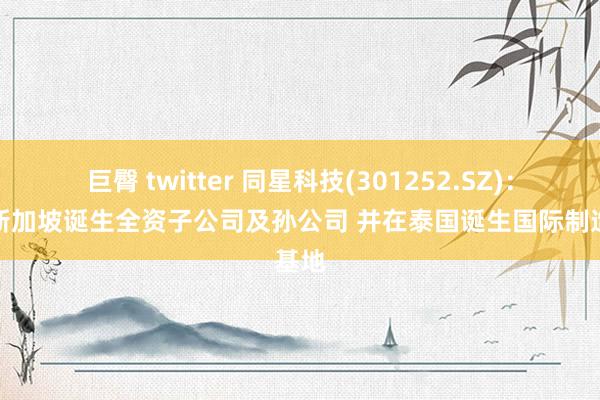   巨臀 twitter 同星科技(301252.SZ)：拟在新加坡诞生全资子公司及孙公司 并在泰国诞生国际制造基地