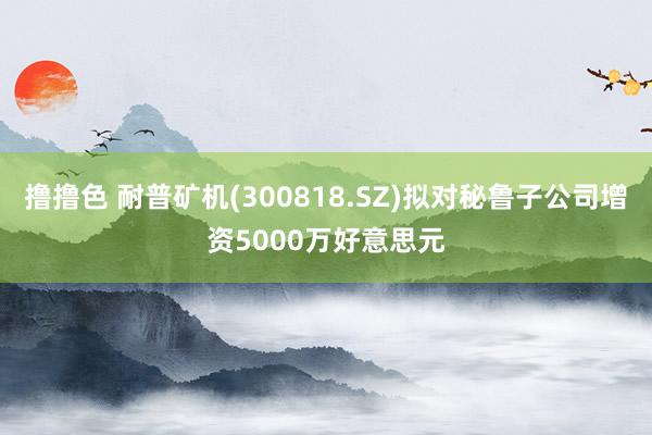   撸撸色 耐普矿机(300818.SZ)拟对秘鲁子公司增资5000万好意思元