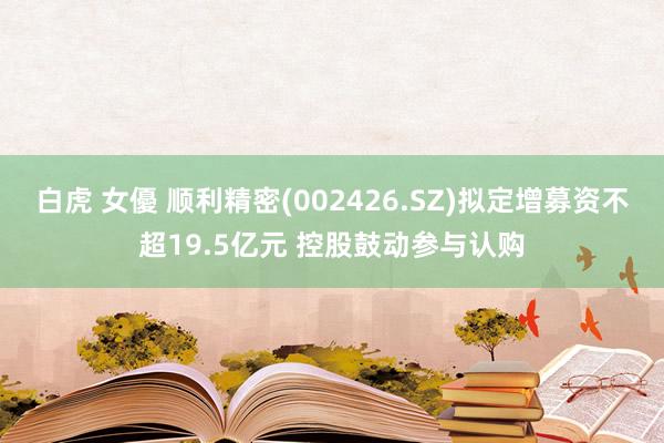  白虎 女優 顺利精密(002426.SZ)拟定增募资不超19.5亿元 控股鼓动参与认购
