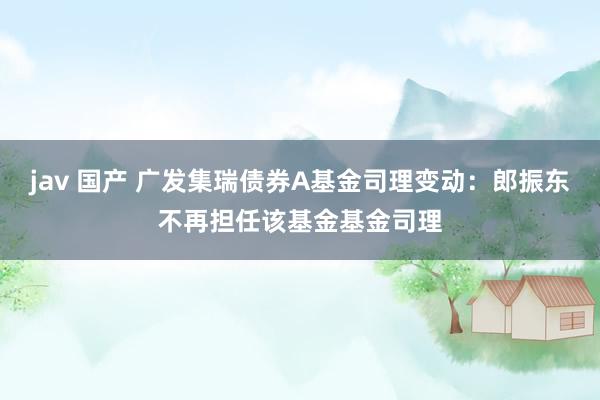   jav 国产 广发集瑞债券A基金司理变动：郎振东不再担任该基金基金司理