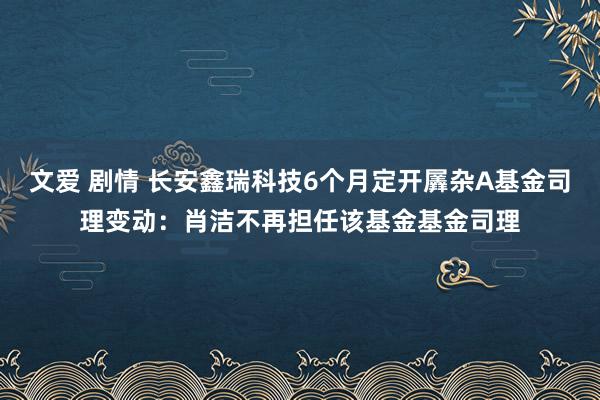   文爱 剧情 长安鑫瑞科技6个月定开羼杂A基金司理变动：肖洁不再担任该基金基金司理