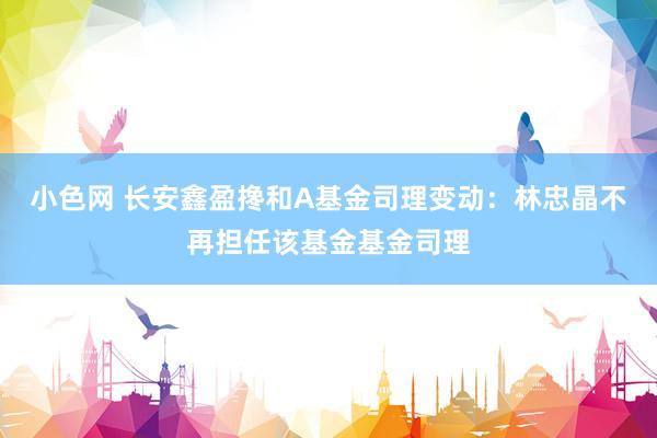   小色网 长安鑫盈搀和A基金司理变动：林忠晶不再担任该基金基金司理