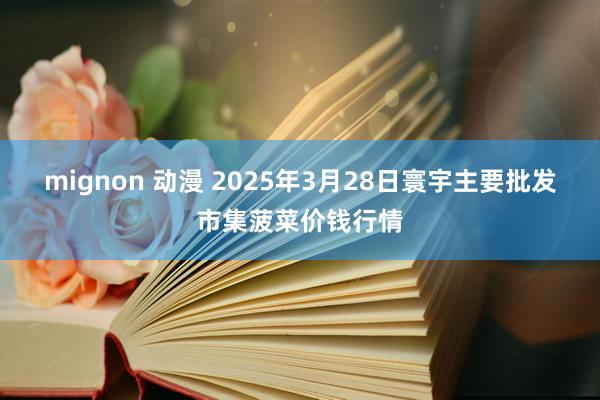   mignon 动漫 2025年3月28日寰宇主要批发市集菠菜价钱行情