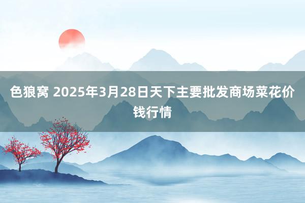  色狼窝 2025年3月28日天下主要批发商场菜花价钱行情