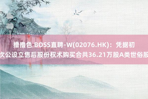   撸撸色 BOSS直聘-W(02076.HK)：凭据初次公设立售后股份权术购买合共36.21万股A类世俗股