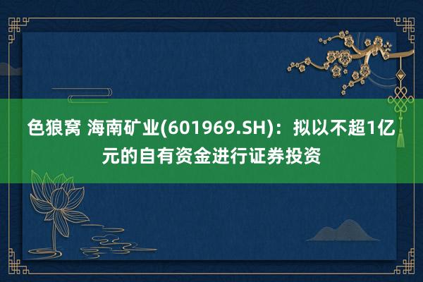   色狼窝 海南矿业(601969.SH)：拟以不超1亿元的自有资金进行证券投资