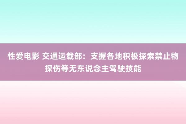   性爱电影 交通运载部：支握各地积极探索禁止物探伤等无东说念主驾驶技能