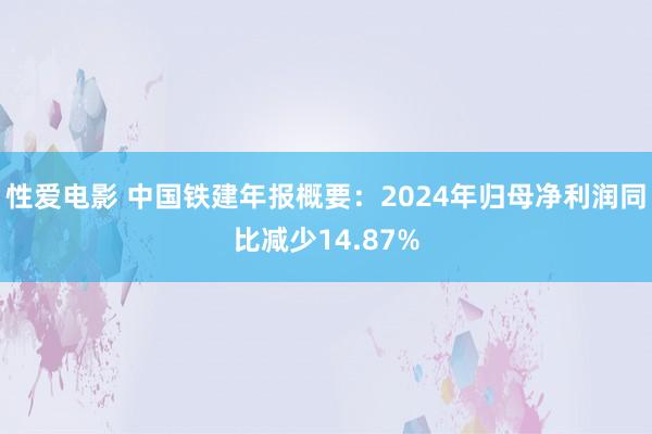   性爱电影 中国铁建年报概要：2024年归母净利润同比减少14.87%