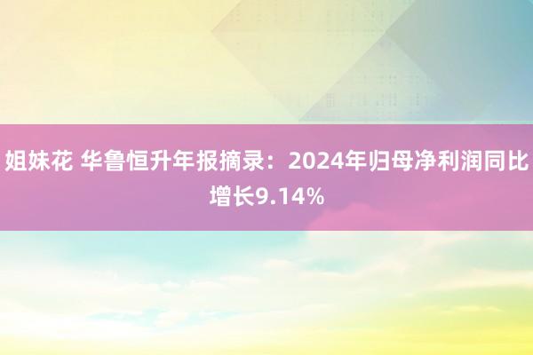   姐妹花 华鲁恒升年报摘录：2024年归母净利润同比增长9.14%