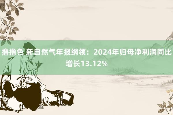   撸撸色 新自然气年报纲领：2024年归母净利润同比增长13.12%