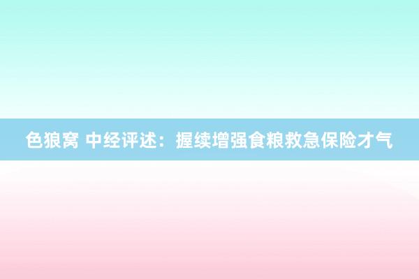   色狼窝 中经评述：握续增强食粮救急保险才气