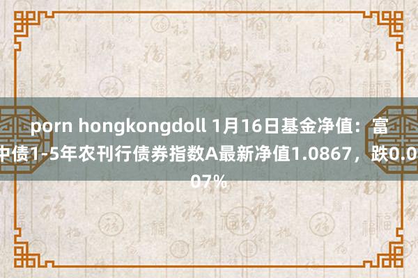   porn hongkongdoll 1月16日基金净值：富国中债1-5年农刊行债券指数A最新净值1.0867，跌0.07%