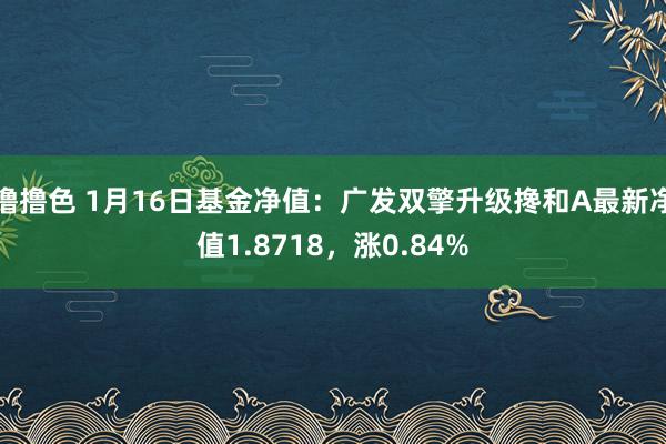   撸撸色 1月16日基金净值：广发双擎升级搀和A最新净值1.8718，涨0.84%