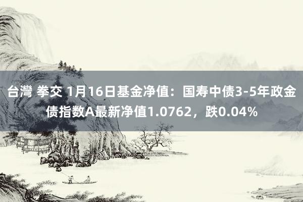   台灣 拳交 1月16日基金净值：国寿中债3-5年政金债指数A最新净值1.0762，跌0.04%