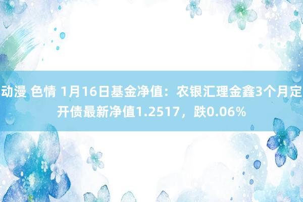   动漫 色情 1月16日基金净值：农银汇理金鑫3个月定开债最新净值1.2517，跌0.06%