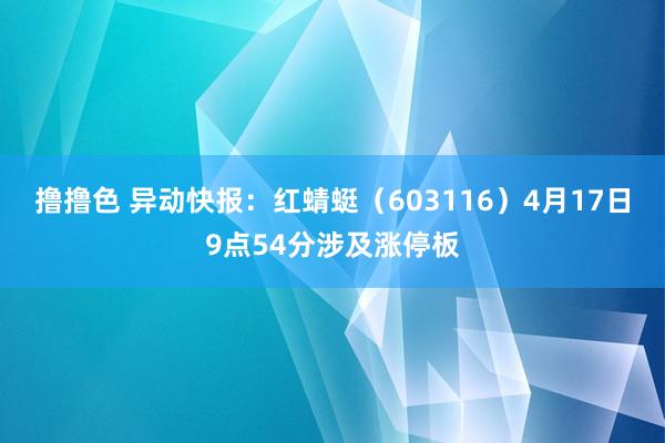   撸撸色 异动快报：红蜻蜓（603116）4月17日9点54分涉及涨停板