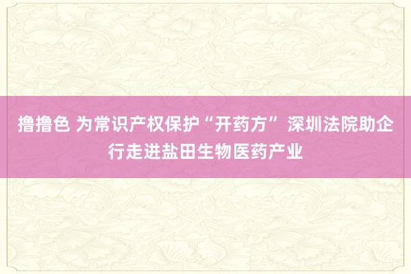   撸撸色 为常识产权保护“开药方” 深圳法院助企行走进盐田生物医药产业