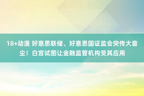   18+动漫 好意思联储、好意思国证监会突传大音尘！白宫试图让金融监管机构受其应用