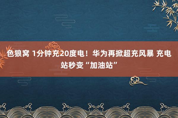   色狼窝 1分钟充20度电！华为再掀超充风暴 充电站秒变“加油站”