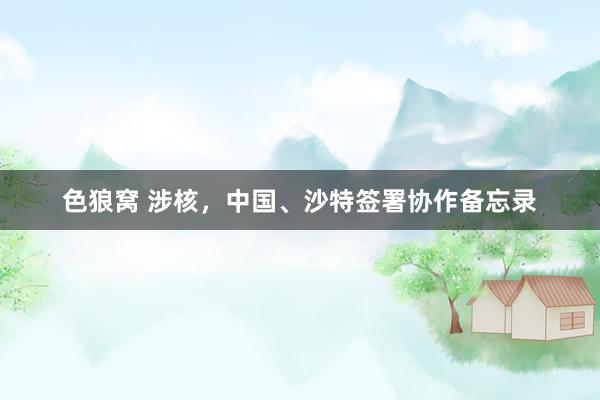   色狼窝 涉核，中国、沙特签署协作备忘录