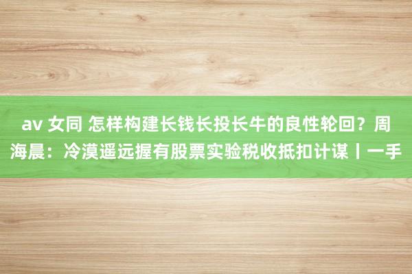   av 女同 怎样构建长钱长投长牛的良性轮回？周海晨：冷漠遥远握有股票实验税收抵扣计谋丨一手