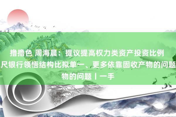   撸撸色 周海晨：提议提高权力类资产投资比例 搞定咫尺银行领悟结构比拟单一、更多依靠固收产物的问题丨一手