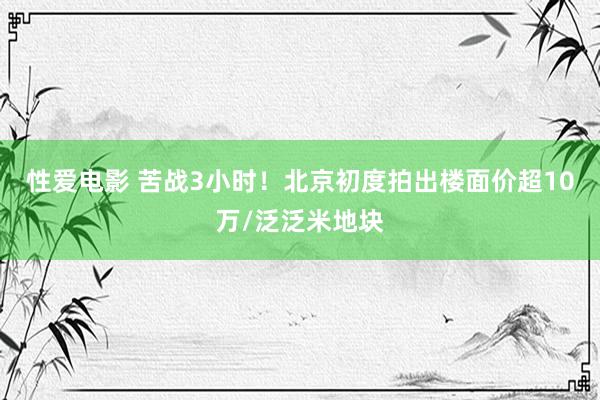  性爱电影 苦战3小时！北京初度拍出楼面价超10万/泛泛米地块
