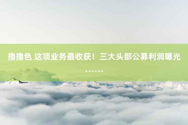   撸撸色 这项业务最收获！三大头部公募利润曝光……