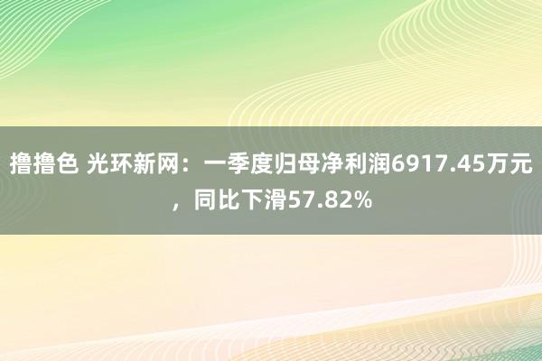   撸撸色 光环新网：一季度归母净利润6917.45万元，同比下滑57.82%