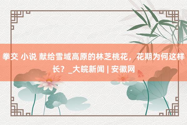   拳交 小说 献给雪域高原的林芝桃花，花期为何这样长？_大皖新闻 | 安徽网