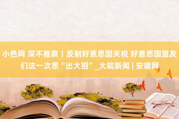   小色网 深不雅察丨反制好意思国关税 好意思国盟友们这一次思“出大招”_大皖新闻 | 安徽网