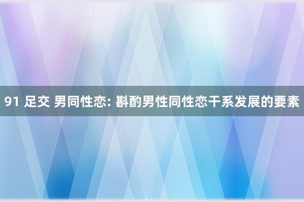   91 足交 男同性恋: 斟酌男性同性恋干系发展的要素
