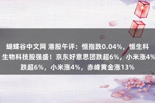   蝴蝶谷中文网 港股午评：恒指跌0.04%，恒生科技跌0.5%，黄金、生物科技股强盛！京东好意思团跌超6%，小米涨4%，赤峰黄金涨13%