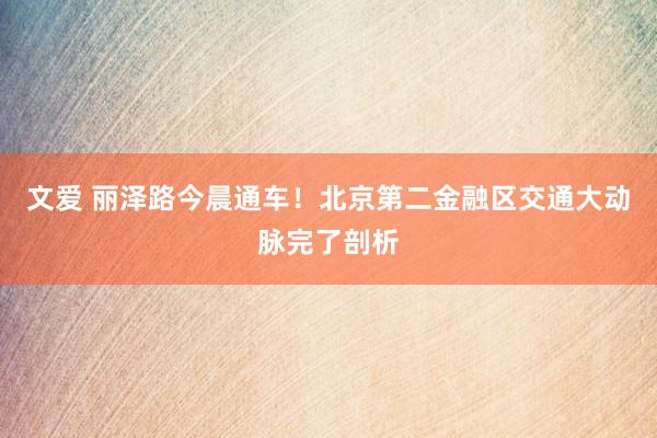   文爱 丽泽路今晨通车！北京第二金融区交通大动脉完了剖析