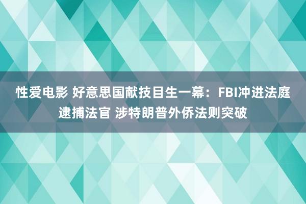 性爱电影 好意思国献技目生一幕：FBI冲进法庭逮捕法官 涉特
