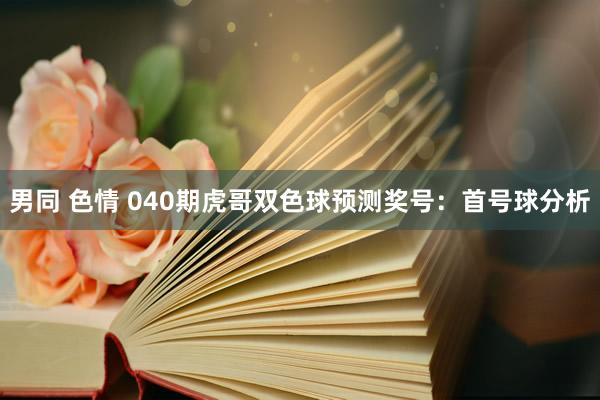   男同 色情 040期虎哥双色球预测奖号：首号球分析